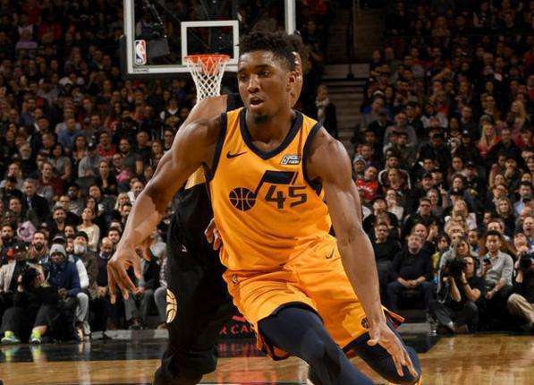 苏达森林狼 苏达森林狼