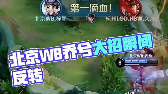 文图斯整体 文图斯整体